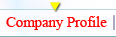 Compnay Profile
